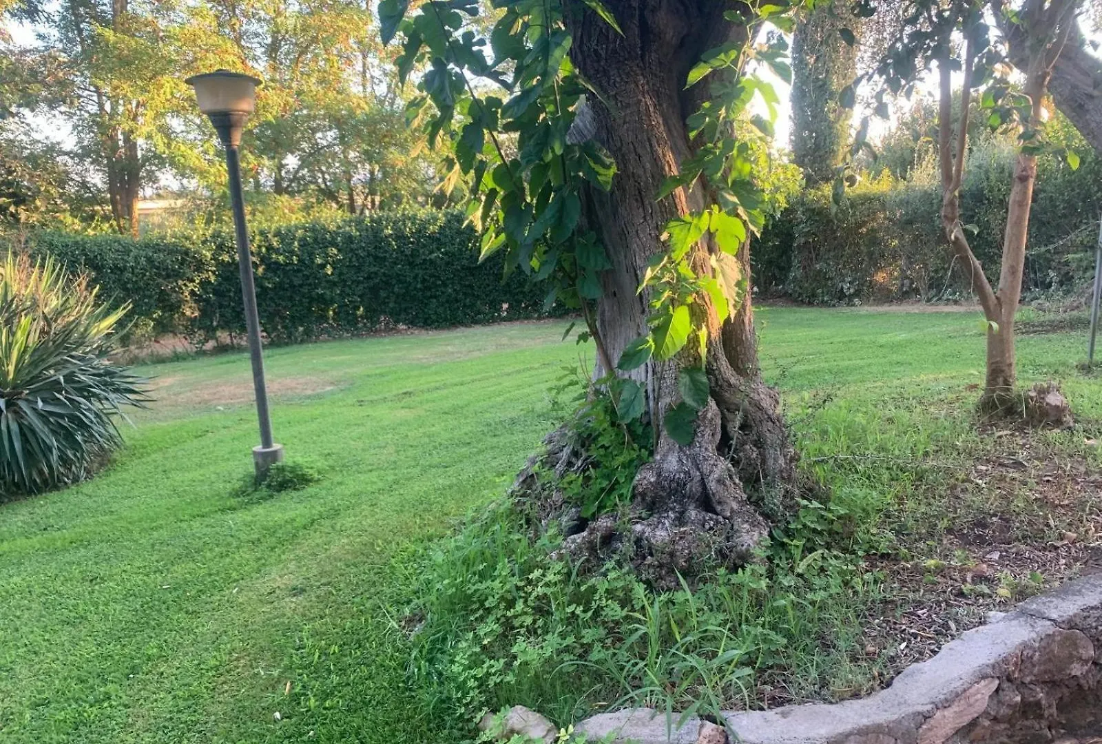 Casa Grancia Daire Grosseto İtalya